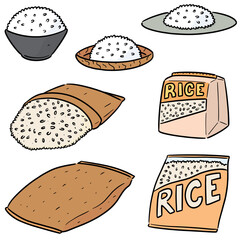 vector set of rice