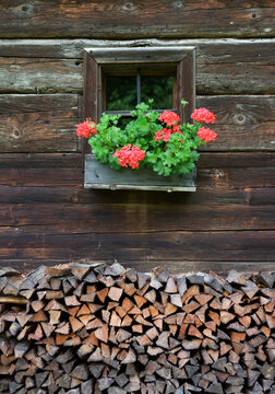 Window with geraniums on wooden farmhouse and stacked firewood Austria