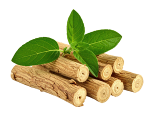 Stacked dried herb sticks with vibrant green leaves on a dark background