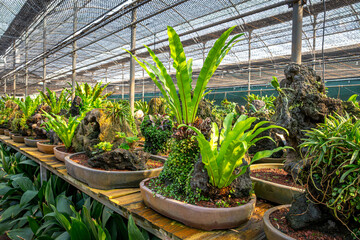 Jeju Island Stone Carving Museum