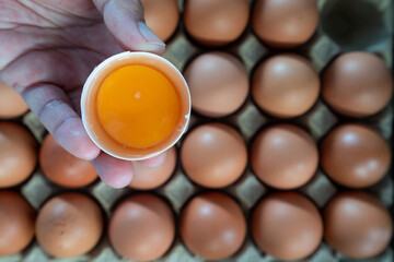 Hand holding a cracked egg with a fresh orange yolk over a blurred carton of brown eggs, organic...