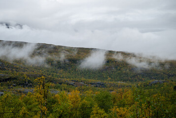 Misty mountain slope with autumn birch forest in Finnish Lapland