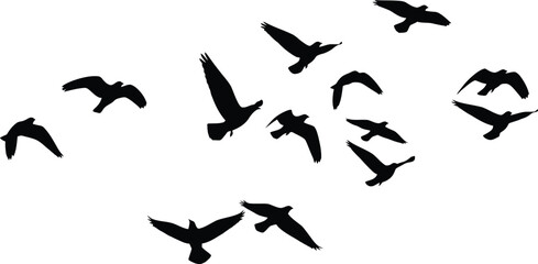 flying bird silhouettes vector, bird flock clipart, wildlife bird svg, nature bird illustration, freedom bird graphics, black bird silhouettes, sky vector art, bird motion design, flying bird collecti © CreatAr8