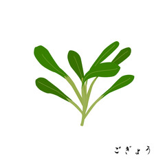 春の七草のごぎょうのイラスト