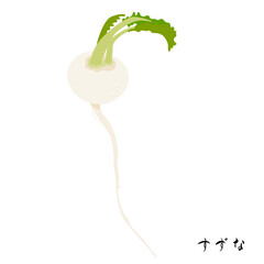 春の七草のすずなのイラスト