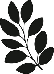 Minimalist leaf branch vector illustration in soft black, hand drawn organic element