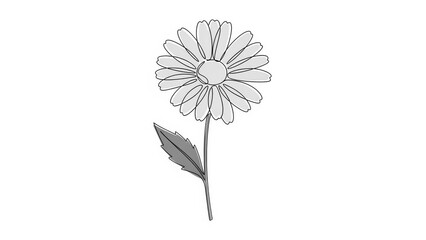 Close up drawing of a daisy flower with light grey petals and green leaf