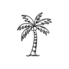 Hand drawn sketch of a palm tree. Tropical palm tree. Vector illustration
