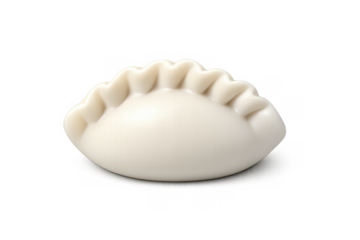 Elegant jiaozi dumpling composition for minimalist culinary art and design