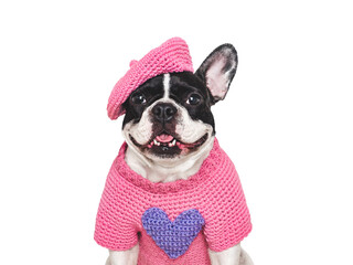 Cute puppy and embroidered heart. Dog smile. Beautiful greeting card. Closeup, indoors. Studio shot. Congratulations for family, relatives, loved ones, friends and colleagues. Pets care concept