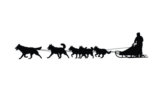 A musher guiding a team of huskies pulling a sled black silhouette