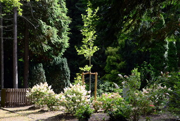 Cemetery in the Town Visselh&ouml;vede, Lower Saxony