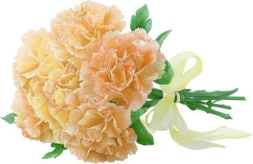 Orange Carnation Bouquet with Ribbon Drawing Illustration Isolated on Transparent And White Background, Parents’ Day Flower PNG