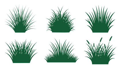 Collection of green grass tufts in varying shapes a natural silhouette © Taylor