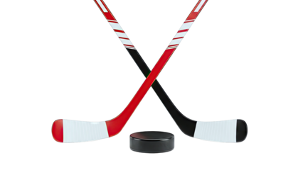 Hockey Sticks and Puck