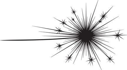 Firework explosion in the night sky