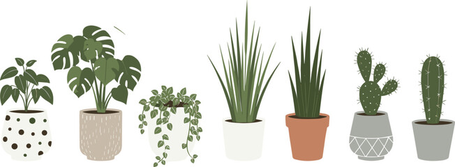 Indoor Houseplants Illustration Set with Monstera and Cactus Plants in Decorative Pots Flat Style Botanical Icons Collection