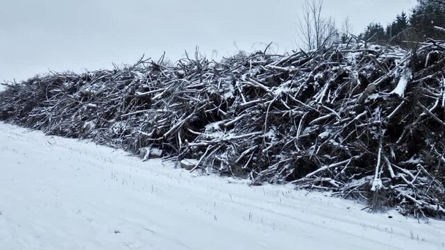 slash debris branches, tops, brush left over after a timber harvest or land clearing, piled up. Preparation for Biomass or Chipping. industrial chipper or grinder is brought on-site. 