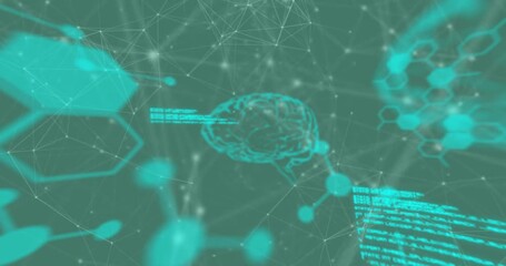 Animation of human brains and scientific data processing - Powered by Adobe