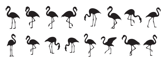 Set of Black silhouette of flamingos walking in various poses, isolated on white background. concept of wildlife, tropical bird, flamingo, icon, logo, design element, exotic animal © Qasims