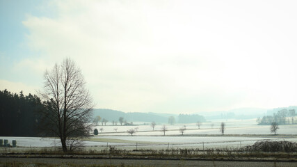 Beautiful nature pictures in winter, trees and leaves under the snow, snowfall, snow in the field