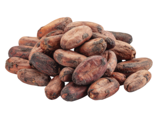 A pile of cocoa beans showcasing their textured surfaces and rich, earthy tones.