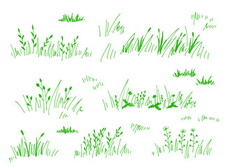 Vibrant green leaves, grass, and lawn hand-drawn illustration. Minimalist botanical art.　鮮やかな緑の葉と草と芝生の手書きイラスト