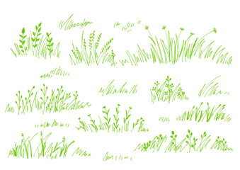Vibrant green leaves, grass, and lawn hand-drawn illustration. Minimalist botanical art.　鮮やかな緑の葉と草と芝生の手書きイラスト