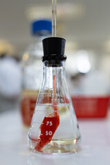 Testing plant nutrition and plant photosynthesis in a biology laboratory.