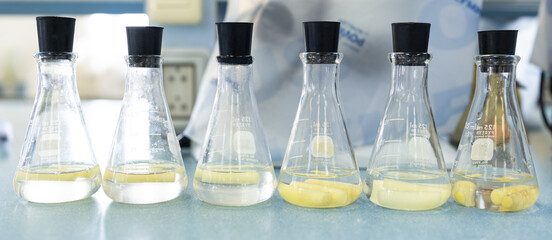 Testing plant nutrition and plant photosynthesis in a biology laboratory.