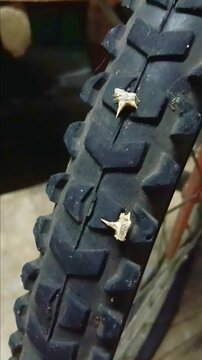 Wood Thorns made Flat Tire