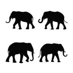 Fototapeta premium Four majestic elephant silhouettes walking gracefully across a clean white background