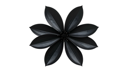Overhead view of open, black and silver petals arranged in a floral design
