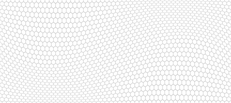 geometric mesh forms an abstract landscape background. digital wireframe hexagon pattern creating an optical illusion reminiscent of a honeycomb cell structure