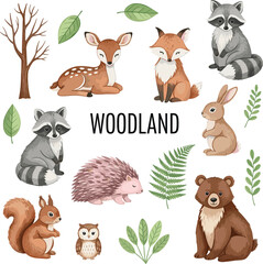 Naklejka premium Woodland Animals Vector Illustration Set Featuring Deer Fox Raccoon Bear Rabbit Squirrel Owl Hedgehog and Forest Greenery Elements