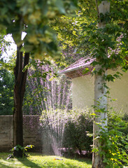  Watering backyard green grass lawn with sprinkler