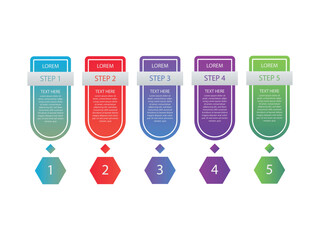 vector illustration infographic design template with 5 steps. Template for process, presentations, layout, banner, brochure.