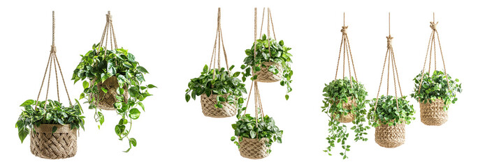 Hanging Indoor Planters with Green Plants for Home Decoration, PNG bundle collection, Isolated on Transparent Background