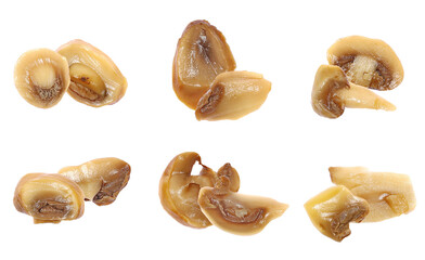 close-up studio photograph of cooked abalone slices, showcasing their glossy texture and natural caramel tones against a white background.