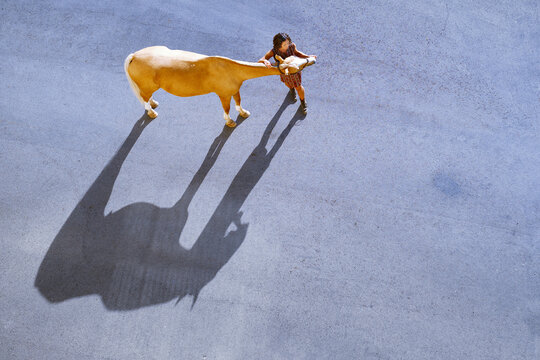 Woman training chestnut horse in high angle outdoor view with long shadow