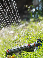  Watering backyard green grass lawn with sprinkler