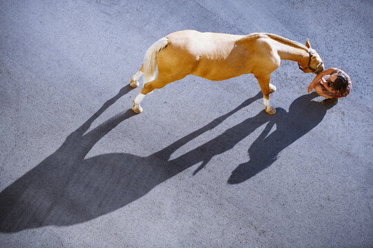 Woman showing affection to horse from high angle view outdoors