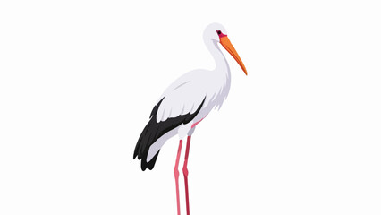 A white bird with black wings and a long orange beak stands tall on thin pink legs
