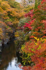 Fototapeta premium 日本の風景・秋 山梨県甲府市 紅葉の昇仙峡 