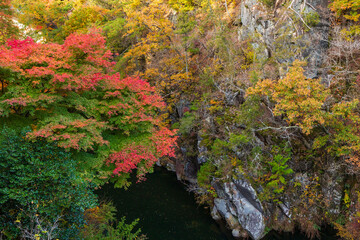 日本の風景・秋　山梨県甲府市　紅葉の昇仙峡  © Yuta1127