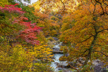 日本の風景・秋　山梨県甲府市　紅葉の昇仙峡  © Yuta1127