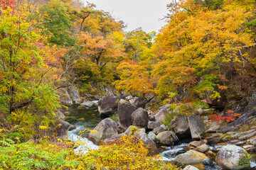 日本の風景・秋　山梨県甲府市　紅葉の昇仙峡  © Yuta1127