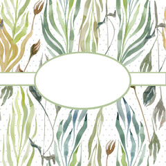 herb floral background with abstract color grass  common, place for text