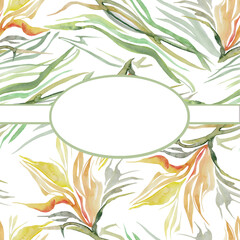 herb floral background with abstract color grass  common, place for text