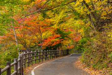 日本の風景・秋　山梨県甲府市　紅葉の昇仙峡  © Yuta1127